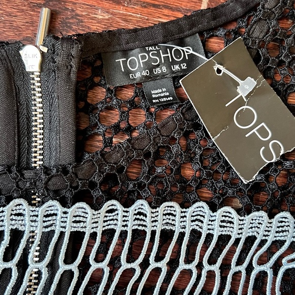 Topshop Lace and Crochet Midi Color Block Dress - Picture 6 of 9